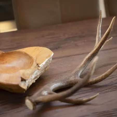 Residenz Wildkogelbahnen 14 דירה *